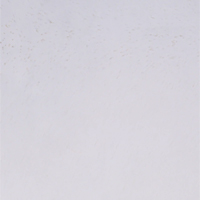 White Solitary Star